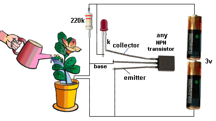 Plant Water Alarm